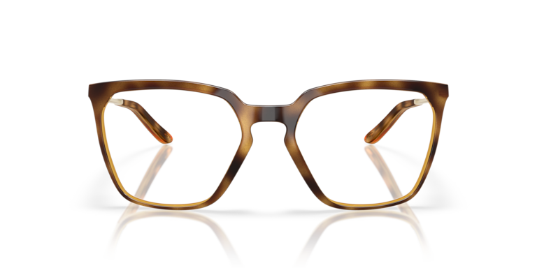 BMNG SQ - Polished Brown Tortoise