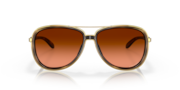 Split Time - Brown Tortoise