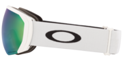 Flight Path L Snow Goggles - Matte White