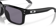 Holbrook™ (Low Bridge Fit) - Polished Black
