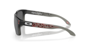 Holbrook™ Troy Lee Designs Series - Troy Lee Designs Black Fade