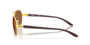 Feedback&trade; - Satin Gold