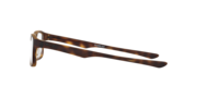 Plank 2.0 - Softcoat Tortoise