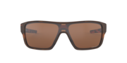 Straightback - Matte Brown Tortoise