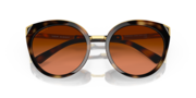 Top Knot™ - Brown Tortoise